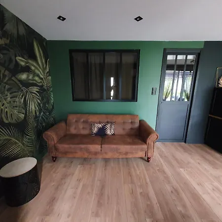 Apartment Jungle